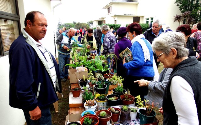 Gansbaai 2015 NGK Basaar  6